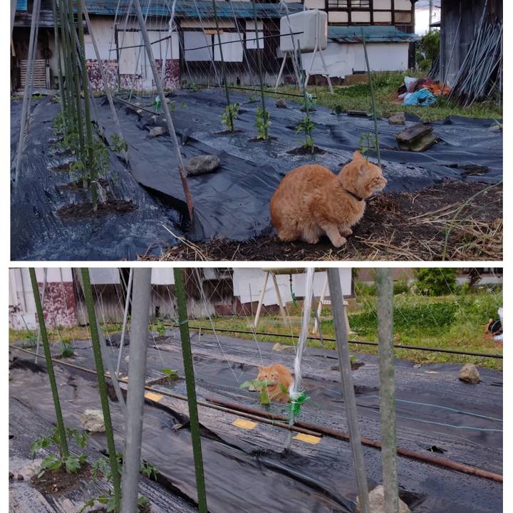 Be5f3dcb dac7 4f6f 9c9d 0c183869802f 1715897330983