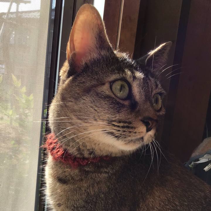 Be5f4763 e6a8 4d84 90a8 3cc0b0e80aa2 1633308663240