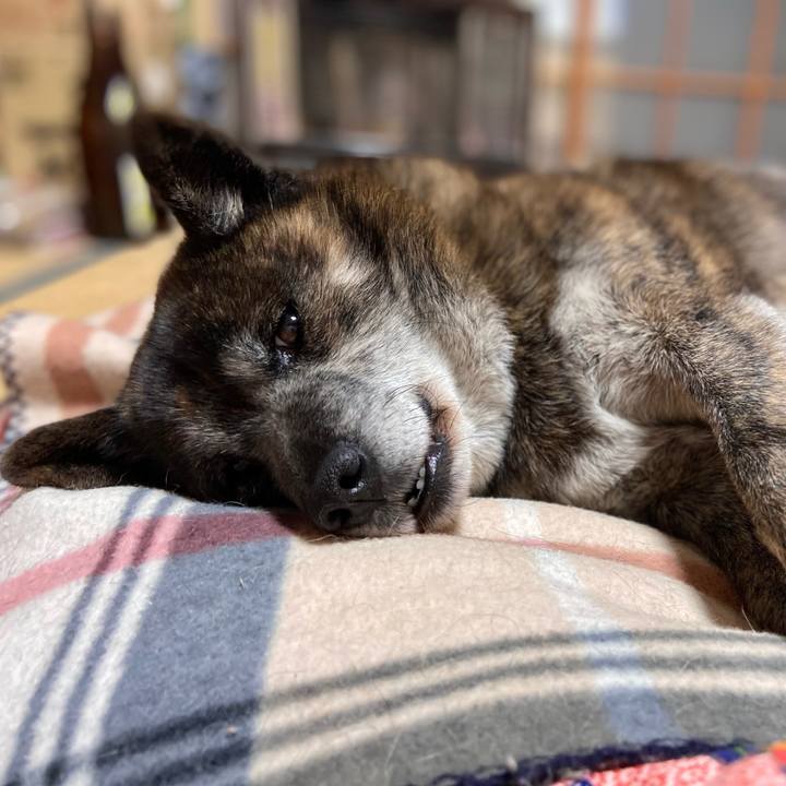 Be5f7885 7f12 4bc1 98e7 159c5861027e 1648082038049