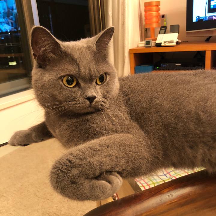 Be5f8fea 5a9f 4194 9f50 82eb7d504395 1537963946782