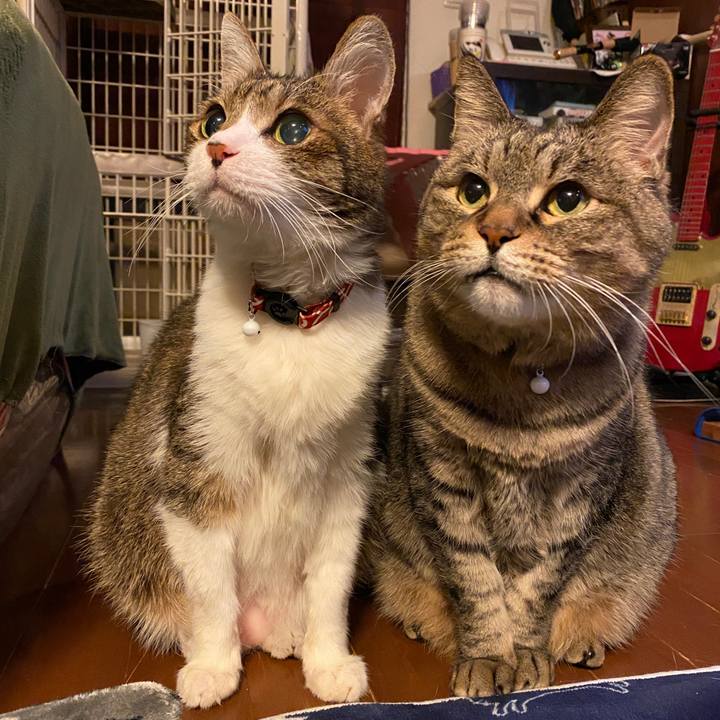 Be5ff008 fbde 4a1c bb95 3ce167732fb7 1608376210648