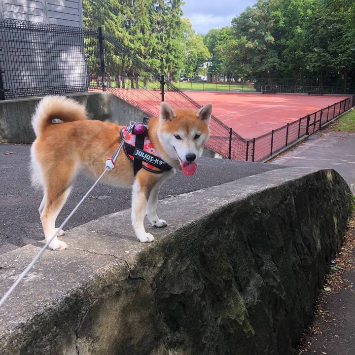 Be5ff473 4fe6 4d71 a4d5 d6ee8e45508a 1599093879676