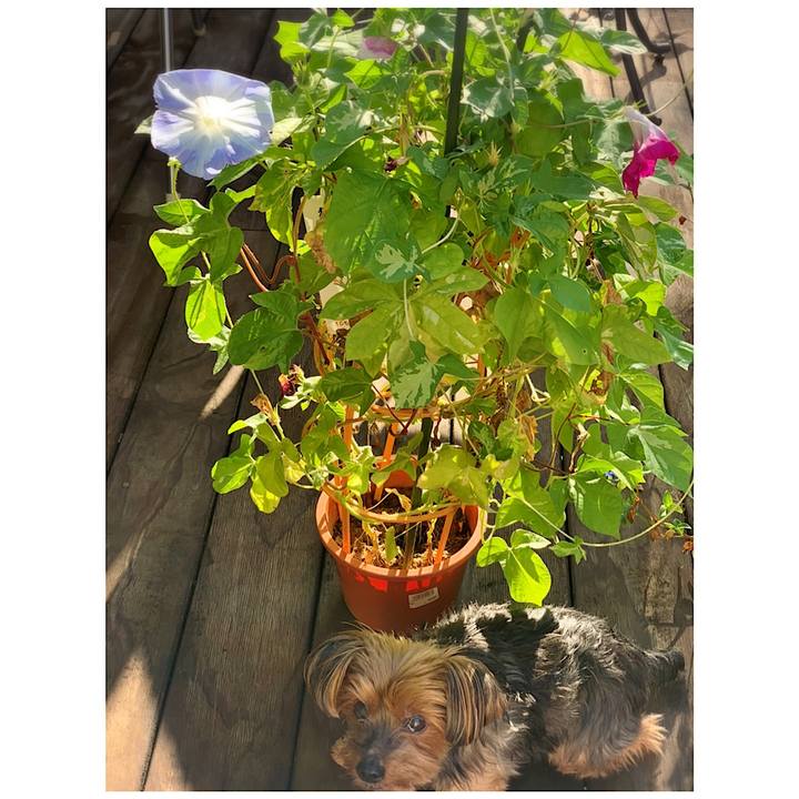 Be609167 3197 40de bf1e 9e8e9e4e8b05 1630970737549