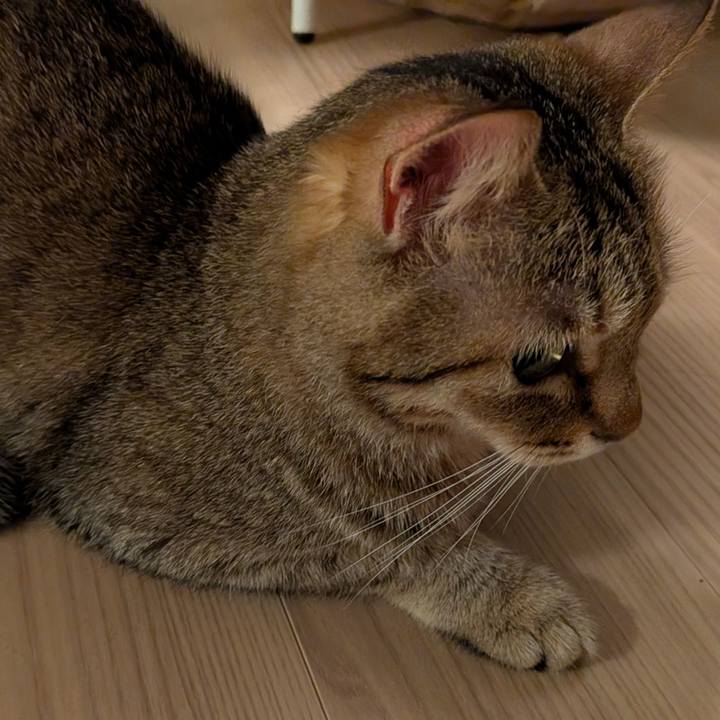 Be60a018 dda9 4438 ab7b b17559e43aa7 1762723661443