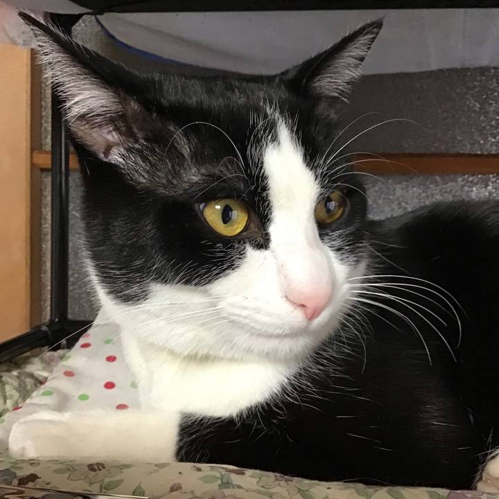 Be60dbb6 d317 4d02 bfa7 fa66f334f583 1647907384009