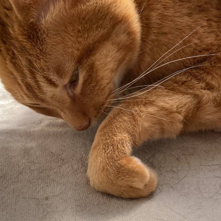 Be60e649 6967 46e9 b9dd fc2507cbe345 1772674791321