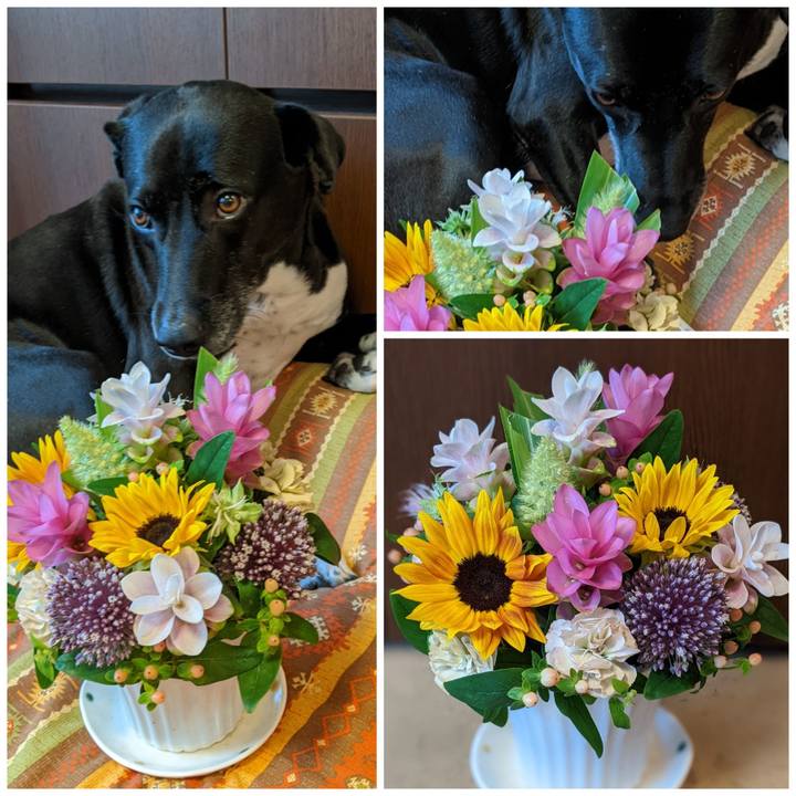 Be60efca a796 4c35 86c0 bb11ff37b41a 1657795501232