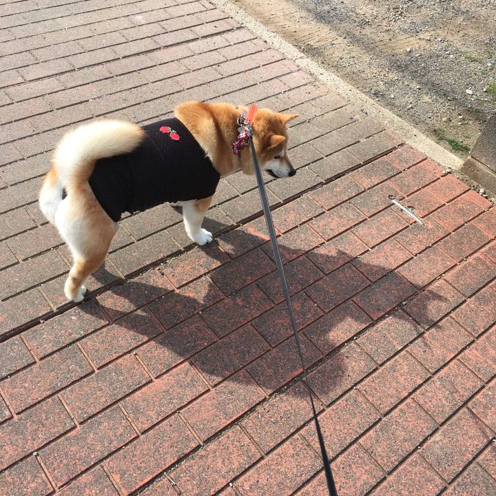 Be60ffb4 42ae 4246 856a ad52ac641da3 1542516410421