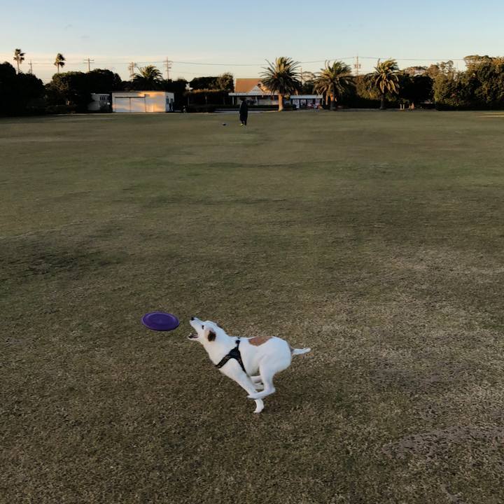 Be610bc8 3dad 45d9 8e0b e7780b2db33a 1511426640582