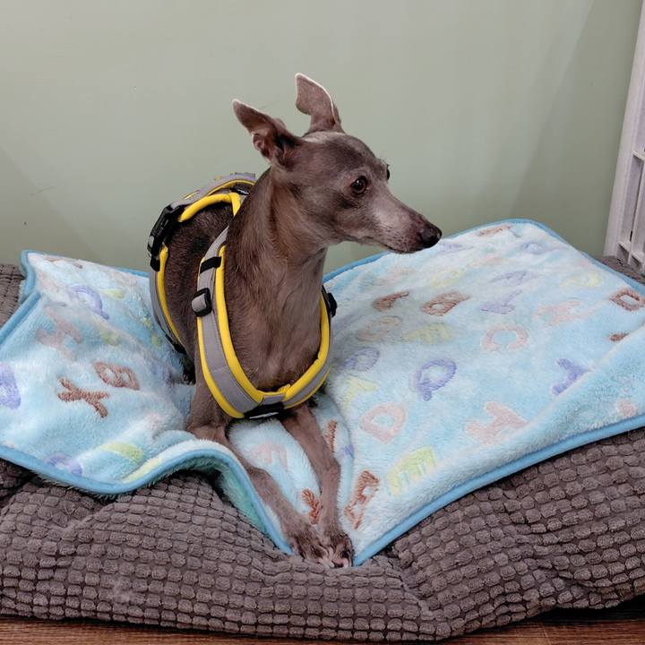 Be610f39 c1d0 4b51 8597 d90d6703e0b2 1772967862719