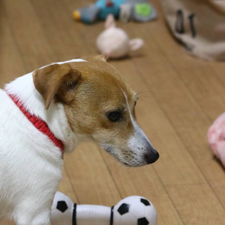 Be611269 944a 437f ba88 2b816953bd9d 1601546097783