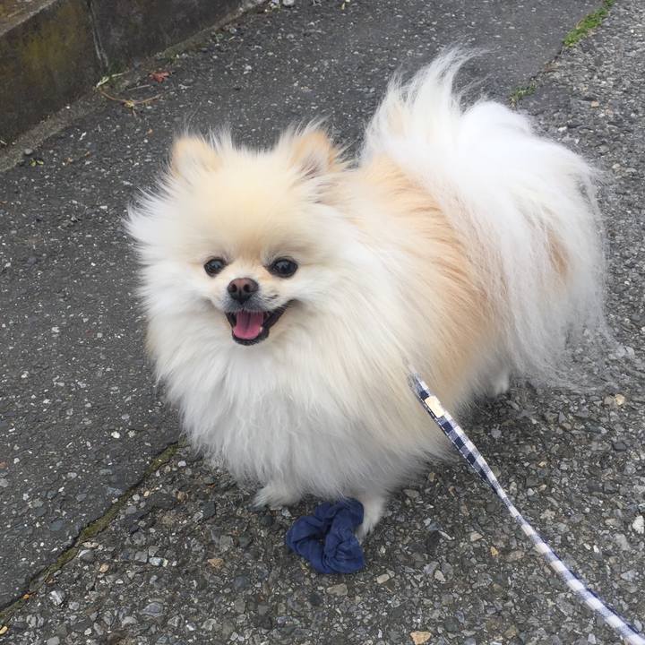 Be613de8 64b8 45e8 aa89 ee48c3e7503a 1522886073066