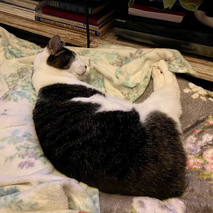 Be615471 5aca 4736 b47b de8555b88ab6 1610980865962