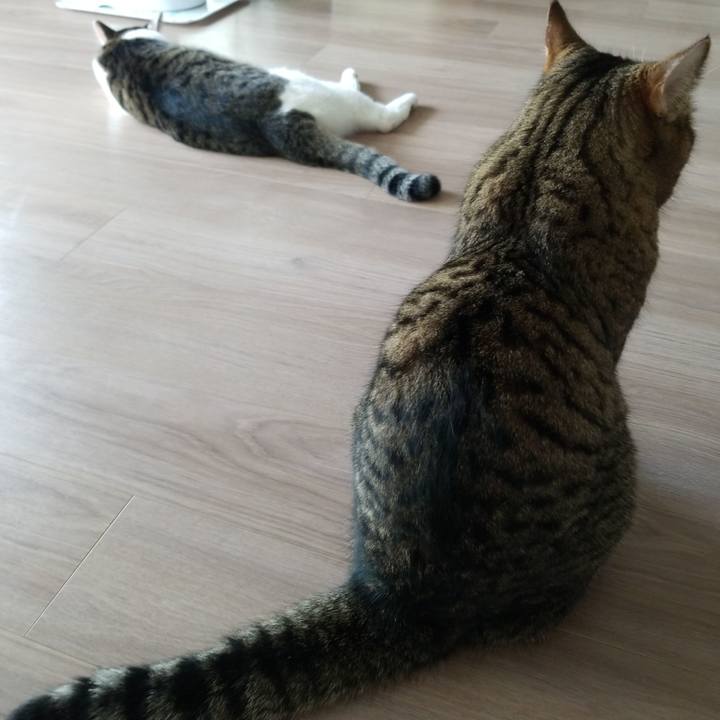 Be61a4fc c35c 4e97 8e1a 2c6558f98a30 1569216752544