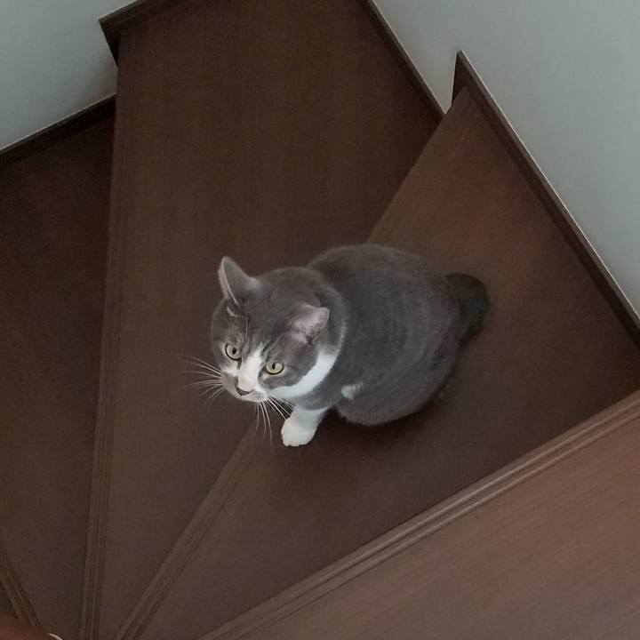 Be61da69 bada 4848 b665 0048c401887d 1632185089044