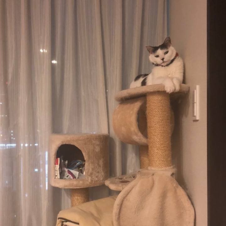 Be620c5d bb65 4690 ac2f df9f3ba9c9ee 1558706268235