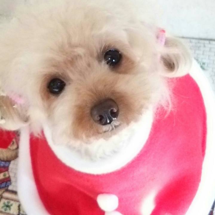 Be620ff4 a248 481f 942b 51f26472e526 1545051583985