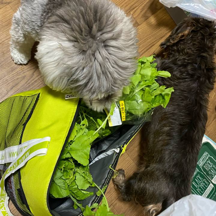 Be62152b e1d8 476a 9979 0c090da6d9ff 1603699581877