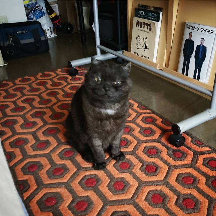 Be6229b2 8381 4128 8628 495eb6fe56f1 1589072418056