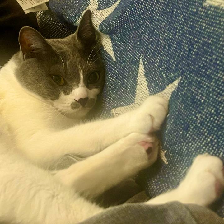 Be627ee9 c172 4f83 b940 fd0bca0c11b3 1623496678189