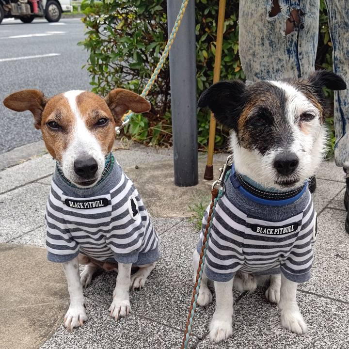 Be62d8fc 1cba 4749 8387 5648a6911057 1720780599300