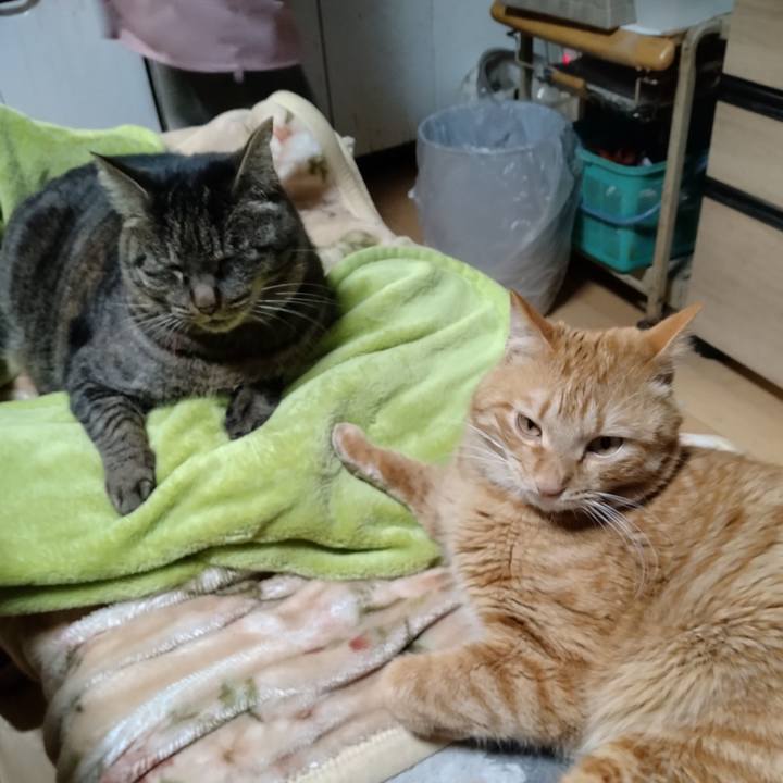 Be62da9f 316c 46e5 b876 961c66611afa 1675075016134