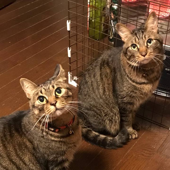 Be62eabb cb2e 488c 9ed3 74afbe77d45e 1610971669608