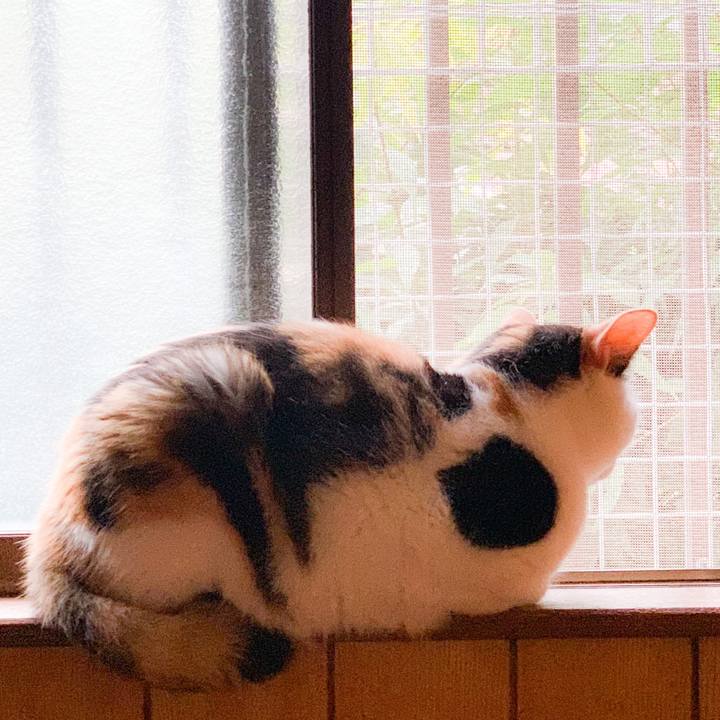 Be63313e cc89 45c6 9ad3 40473415a910 1570066594535