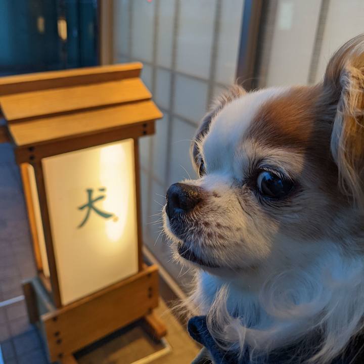 Be6343fc fbf6 4091 857e 06c222210e2b 1648201678462