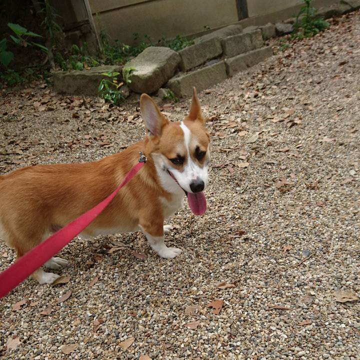 Be64071a 41d6 428f 9ad3 f5bd1209e58c 1573382574386