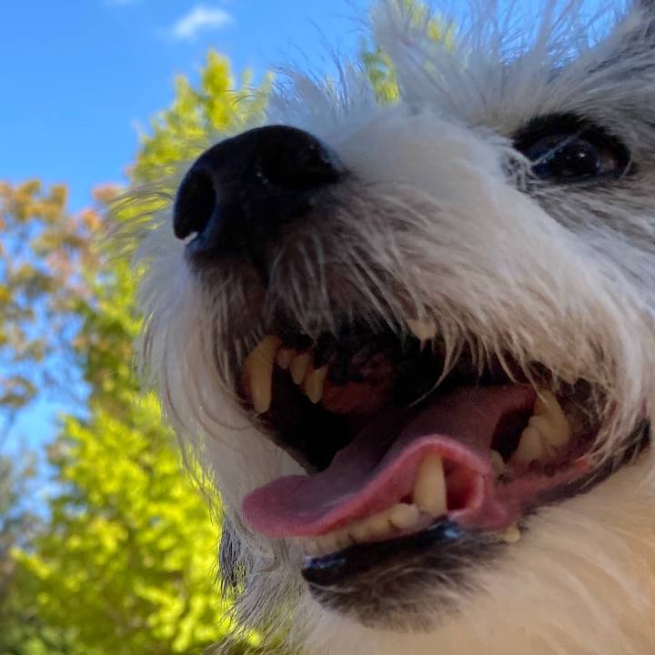 Be6411ad bcd0 4123 b283 1f64bf840b34 1590883683842