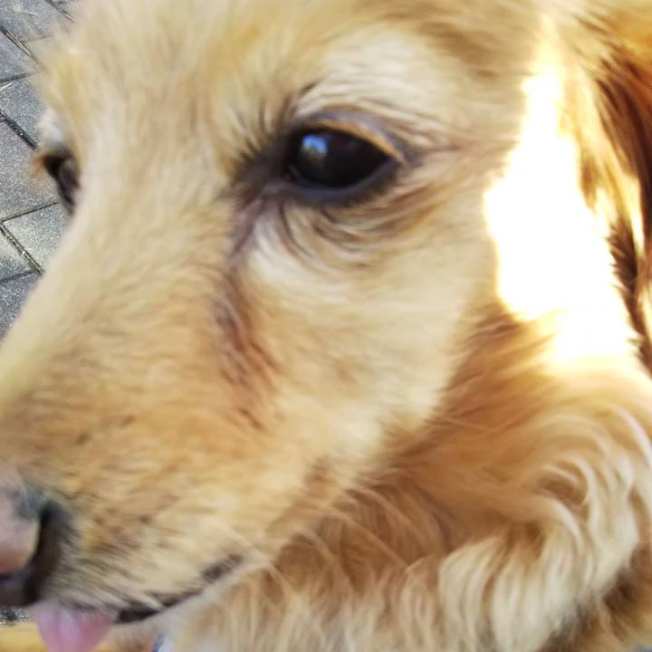 Be643a87 b913 4cce b6c1 de464b90e045 1579088885163