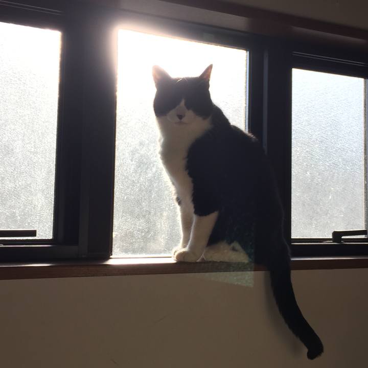 Be6482da 049e 4726 8fa6 123b90ffb135 1520379971420