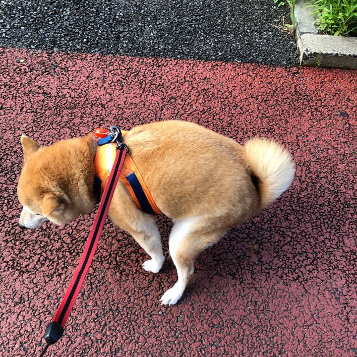 Be648372 2ad0 4d3f 92d9 39c00f87ac7f 1594859288602