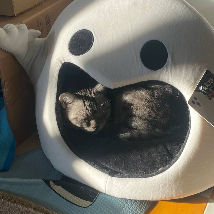 Be6494ca d40e 4576 aedf 9583dcfbc013 1732923408398