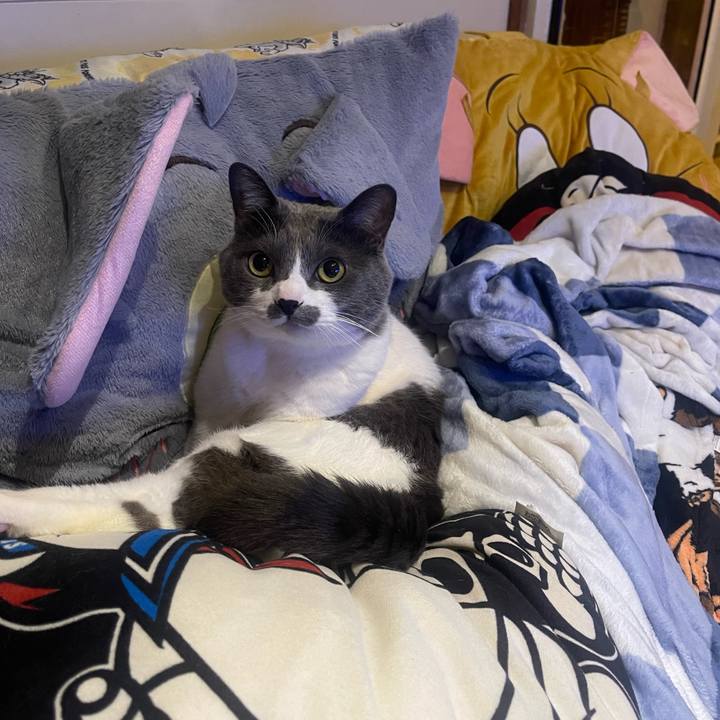 Be649c23 02ff 463c 9110 843667b5338e 1705739755082