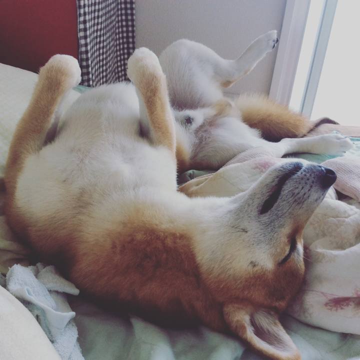 Be649e8e f24c 4fdf 805f 8f1e5c7063fe 1536446799596