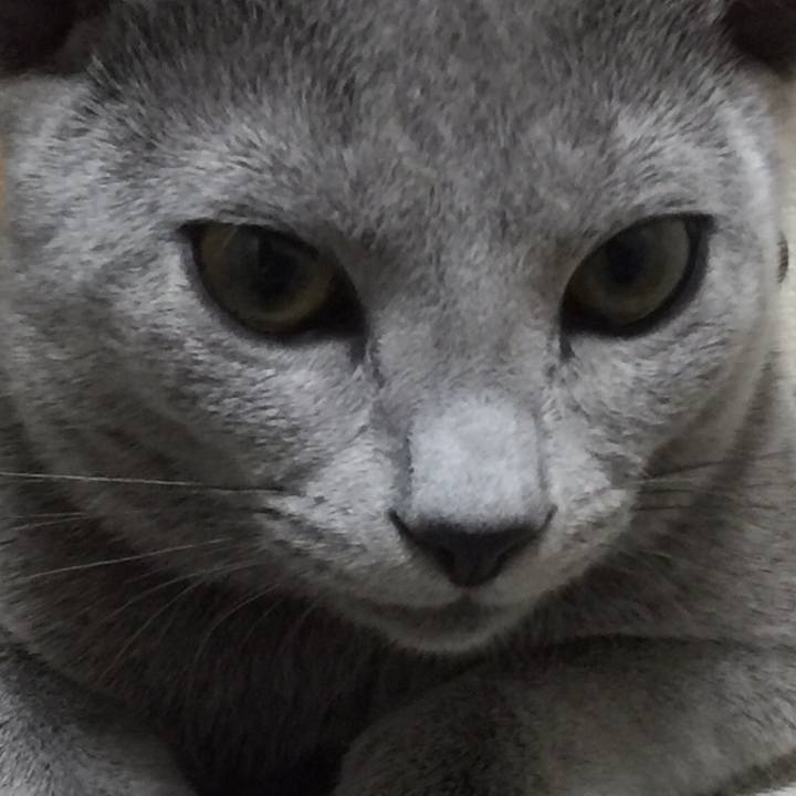 Be64c086 7023 4ffe a3b8 aff18ff3b83c 1509924723851