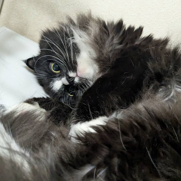 Be64fea6 2ef9 468e 8a08 893d725d6b96 1738757246736