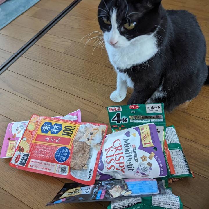 Be6507c4 6ca2 4342 82a2 b5c230e2677b 1696390577163