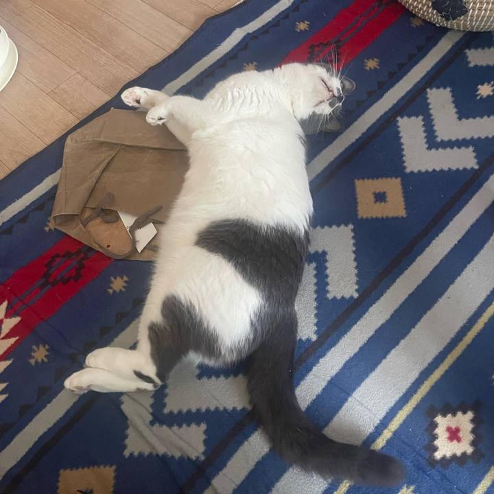 Be6530dc 008f 4556 820a e2ac0c68bd54 1688251664325