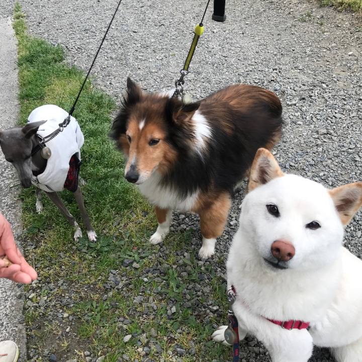 Be6534b0 706c 4008 9560 bd4e78cef31d 1523924169819