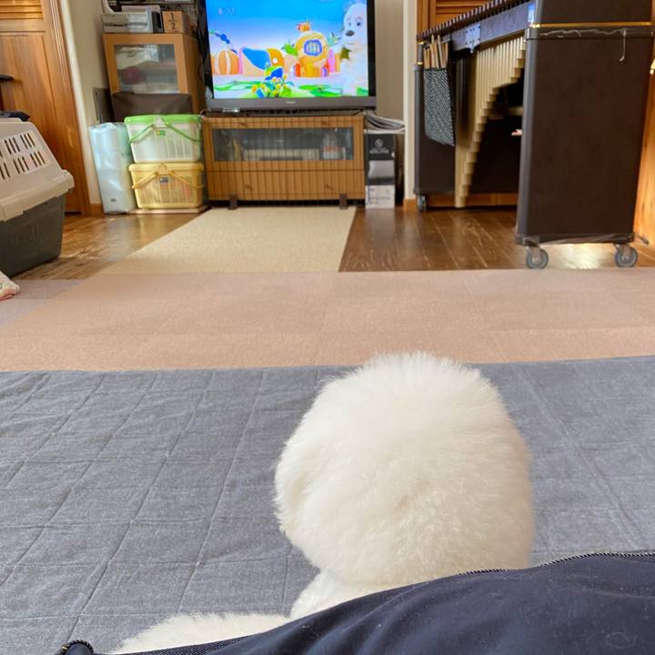 Be654e0e 2d55 41e5 800e b1e0cac680fe 1617577923336