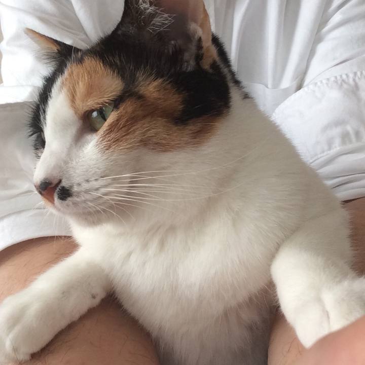 Be6586ce 1f7b 4466 90bd 9de789a3bd9f 1516419263253