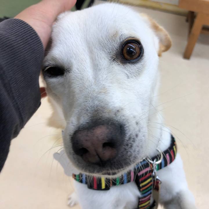 Be65d492 66c1 4399 a2bc 1d8e4df5d462 1623714856624