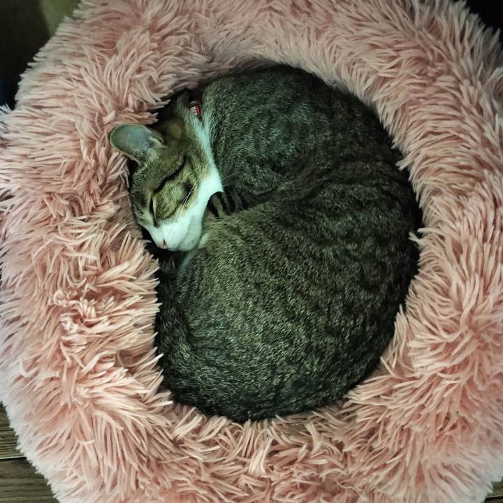 Be661a28 e572 43f3 887e 54d23fbb3f49 1698871327682