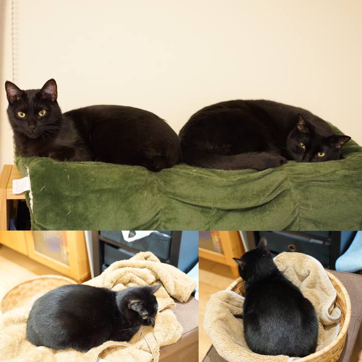 Be663c14 5802 4bbe 9f4c 33bc012ec2d0 1555025095537