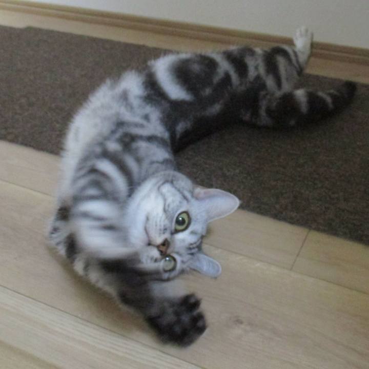 Be665adc 97e1 4418 a5b1 ba66a8e5ecb2 1557104268342