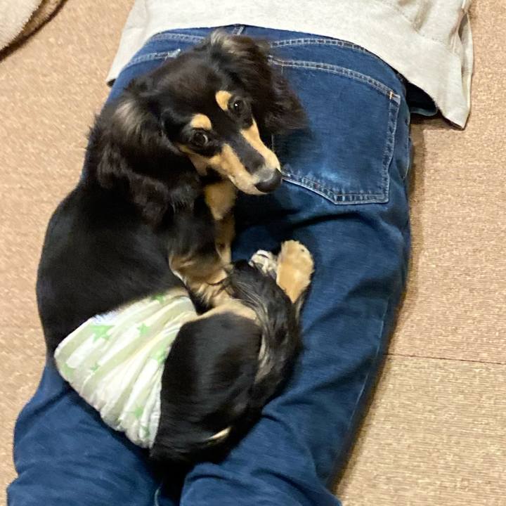 Be668964 7878 4175 9c42 96560576c227 1677152079685