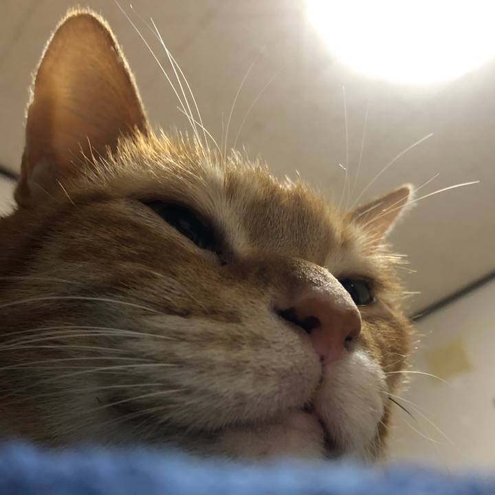 Be6692bb 82fe 4b5e a5bf db371c1e218f 1713608768096